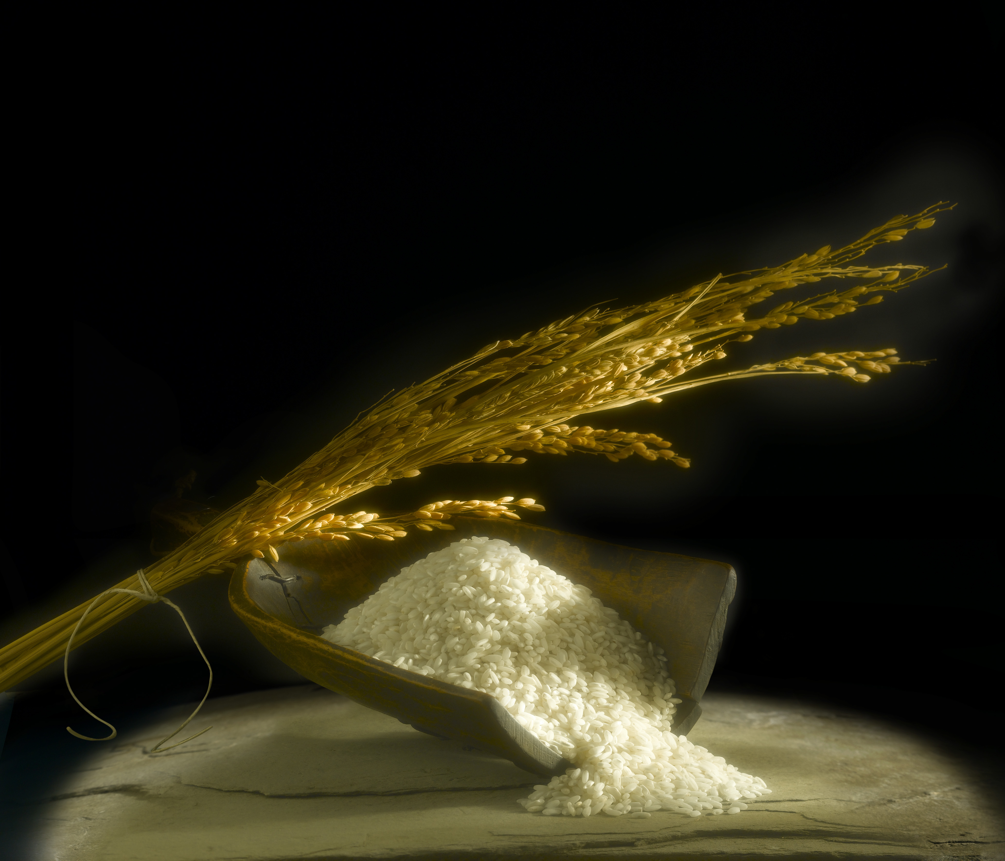 Il riso di Sibari, eccellenza italiana dal sapore antico tutta la sua