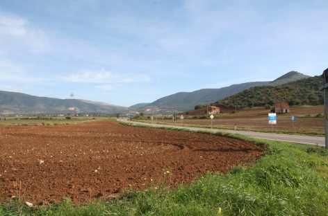 Regione Campania, Agricoltura: pubblicati nuovi bandi PSR per 19,5 milioni di euro