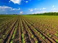 Agricoltura italiana nella morsa dei dazi americani e delle misure di un ecologismo ideologico dell’Unione Europeo: si rischia il collasso di un intero comparto